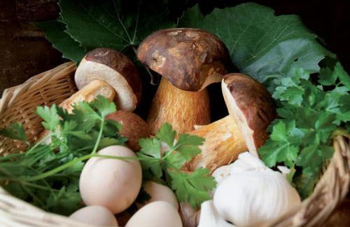 Petite maison en pierre au coeur du Périgord noir proche de Sarlat et Rocamadour - Foto 64