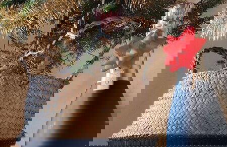 CasaZefira - Photo 14