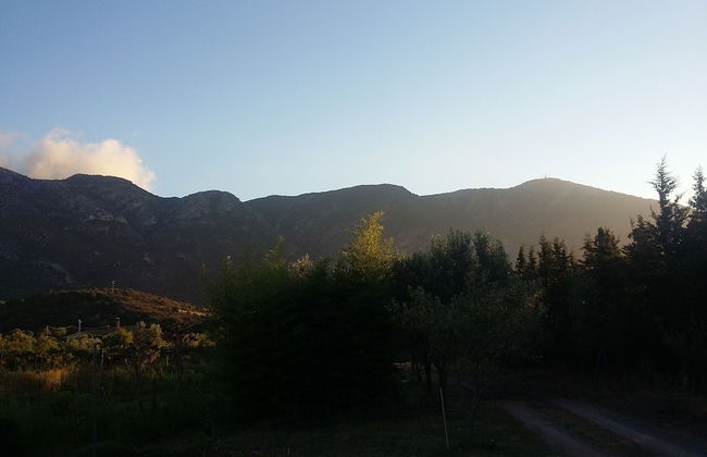 Agriturismo Sogno Latino - Photo 22