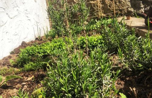 Magiczne Podlasie - Foto 48