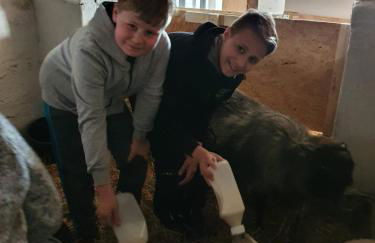 Gnaden- und Ferienhof Saale Wittgenstein in the middle of gar nix - Foto 39