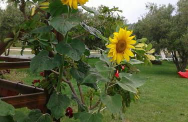 Villa Irida - Foto 61