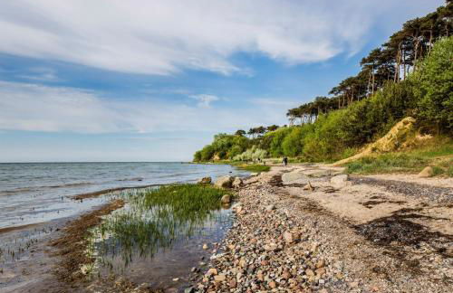 Birkenhof an der Ostsee - Foto 29