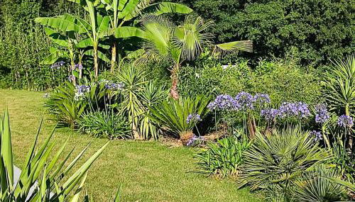 Charmant T2 avec piscine entre mer et montagne - Foto 4, Garden, Garden view