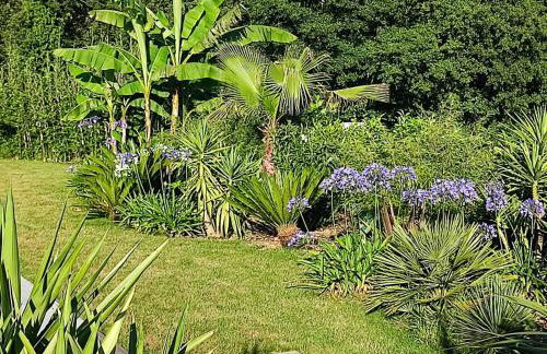 Charmant T2 avec piscine entre mer et montagne - Foto 4