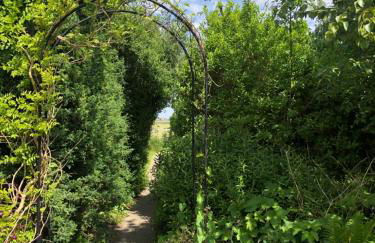 Haus Horizont - Foto 10