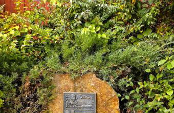 Ostoja Mików - Foto 18