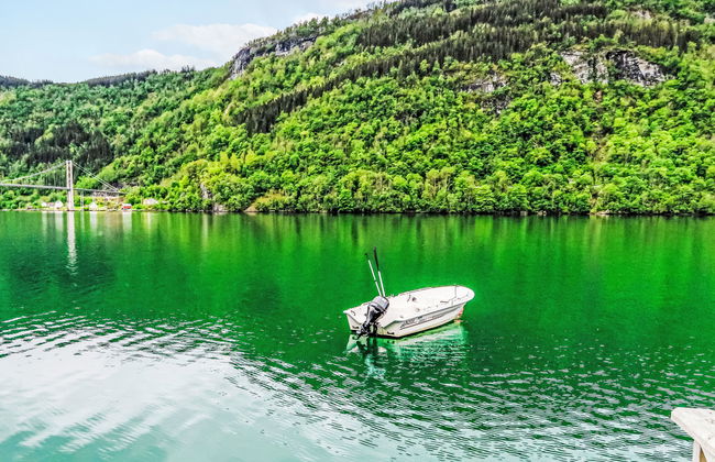 Ørviksnes - Photo 25