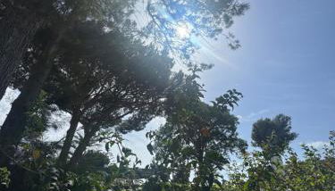 a casiña cottage in Chiclana - Foto 4