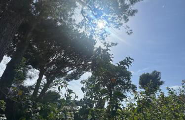 a casiña cottage in Chiclana - Foto 4