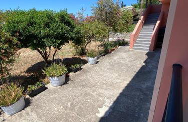 Anemomilos - Photo 18