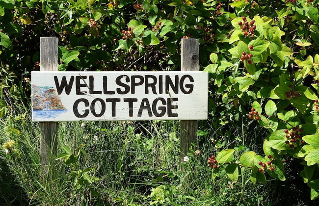 Wellspring Cottage nr Kynance Cove - Foto 39