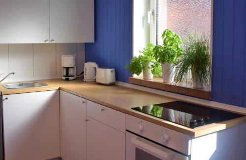 Liebevoll hinterm Deich - Ferienwohnungen - Foto 8