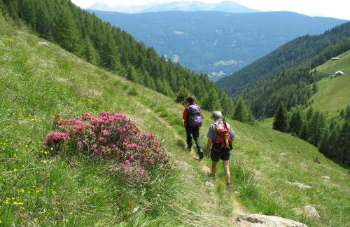 Residence Terentis - Foto 64