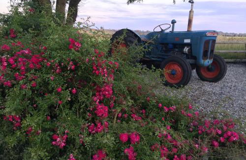 RB Contractor Stays - Helyg - Photo 11