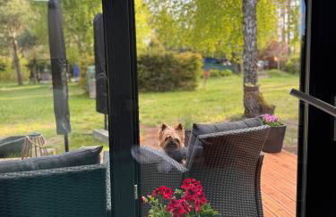 Forest Mood - Foto 56