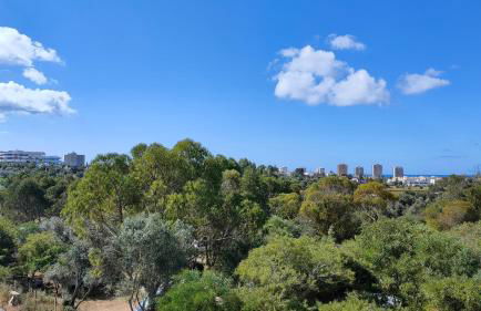 EstrelasDourada ALVOR Limoeiro - Foto 40