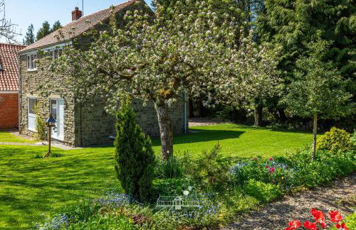 Cliff House Holiday Cottages - Foto 55