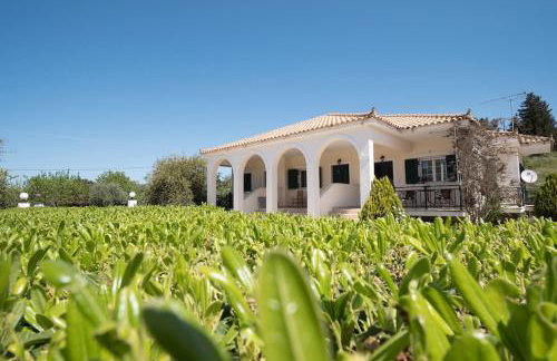 AGIOS LEON APARTMENT 1 - Foto 26