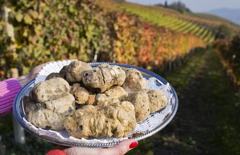 Lovely Home In Cessole With Kitchen - Foto 40