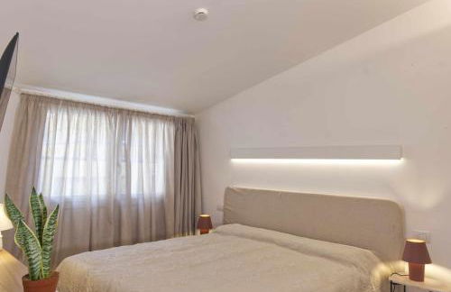 Agave in Centrale - Foto 31