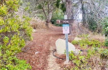 Summer Beach House - Photo 74