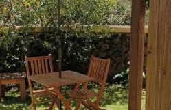 Palmtree 37 Al - Photo 14