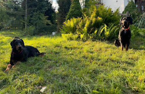 Dom w górach Saganówka Beskidy - Foto 56