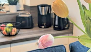 Luxury city apartment with parking - Foto 5, toaster