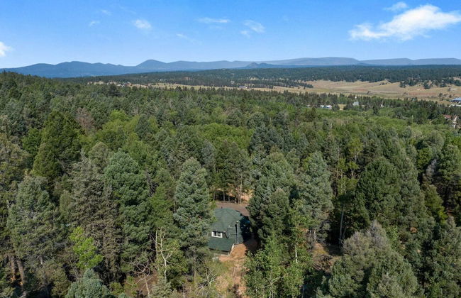 Crystal Cabin Pikes Peak Mountain w/ Wine Cellar - Foto 50