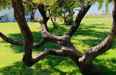 Relais Il Giardino fra gli Ulivi - Foto 17