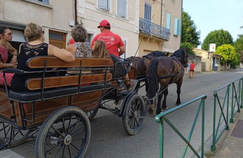 le clos du ventoux - Photo 23