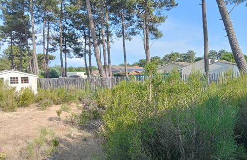 Santa Monta - Foto 19