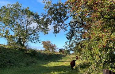 West Coast Whistlestop - Foto 7