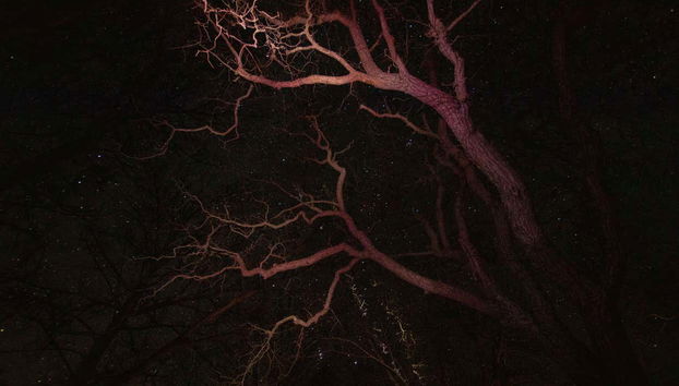 Conoceremos los misterios de Espinosa al caer la noche