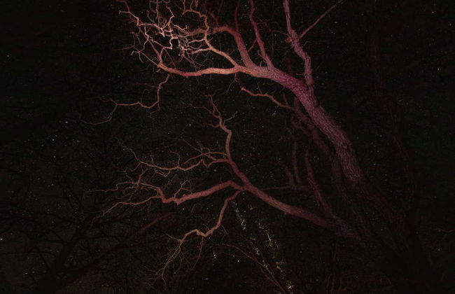 Visite sur le thème des mystères et légendes d'Espinosa de los Monteros - Photo 4