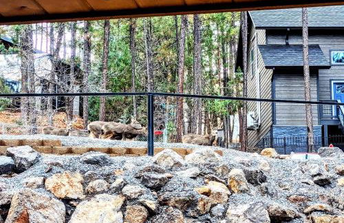 Relax & Recharge in Cozy Pinetop 2BR Retreat - Foto 21