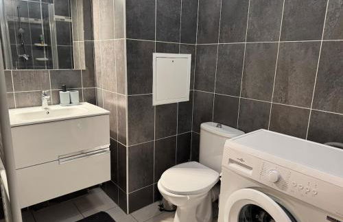 Modern house Hyper centre CDG PARIS Parc Astérix - Foto 2