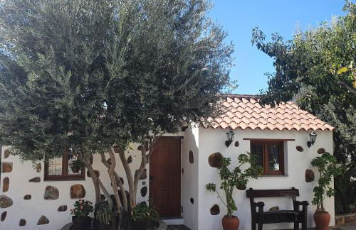 La Gallania de Papá Pepe - Foto 18