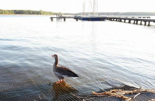 Przy Złotych Piaskach 1 - Foto 59