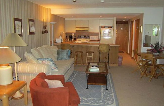 Mount Snow Condominiums - Photo 10