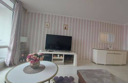 Logement avec parking à 11 min de Paris et 15 min de la défense Arena - Foto 14