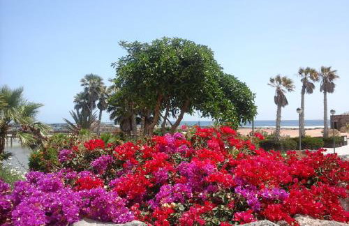 Sol y Luz - Foto 8