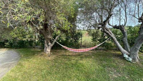 VILA KALIMERA private pool - Foto 4