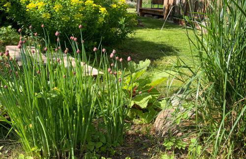 Das Sommerhaus - Foto 18