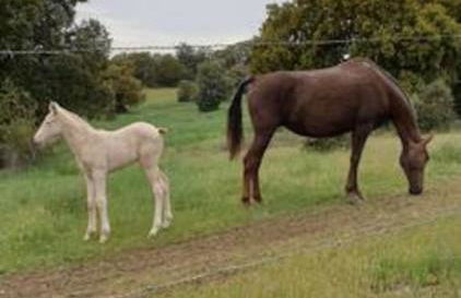 Finca Montechico by Sharingco - Foto 26