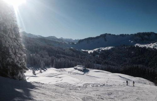 Ferienhof Wäldle - Wäldle 1 und Wäldle 2 mit Motorradvermietung - Photo 72