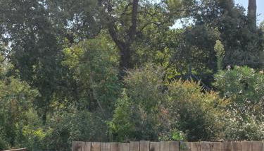 Villa Les Roches du Montélit - Foto 4