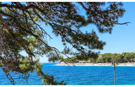 Vila Fenč - Photo 20