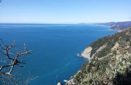 Non Solo 5Terre - Foto 12